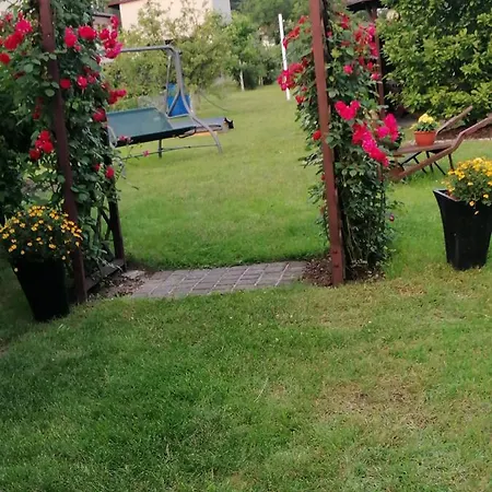 Lesny * Szczejkowice