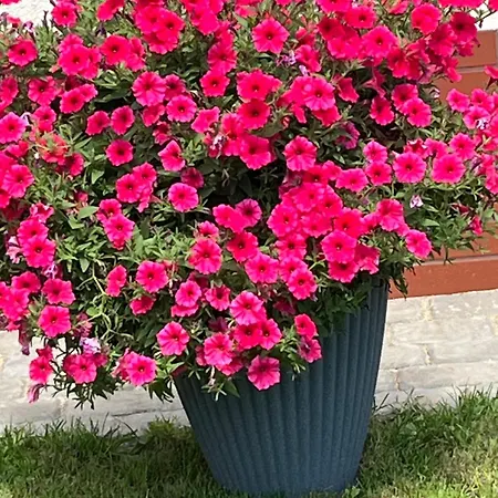 Lesny 公寓 Szczejkowice