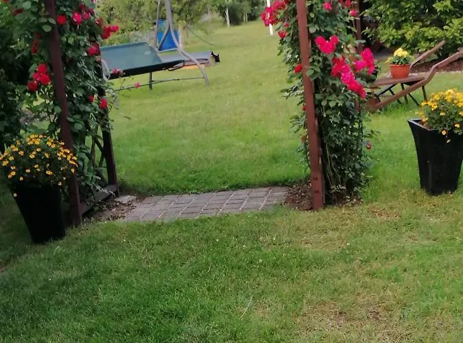 Lesny * Szczejkowice