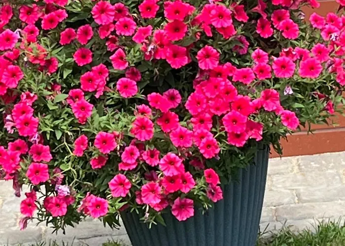 Lesny Apartmán Szczejkowice